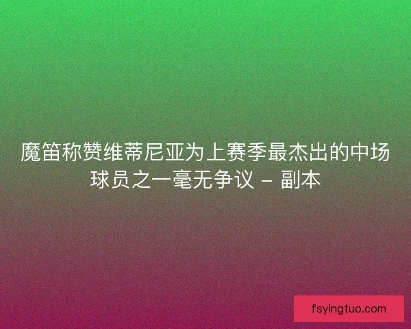 魔笛称赞维蒂尼亚为上赛季最杰出的中场球员之一毫无争议 - 副本