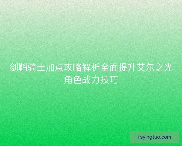 剑鞘骑士加点攻略解析全面提升艾尔之光角色战力技巧