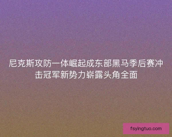 尼克斯攻防一体崛起成东部黑马季后赛冲击冠军新势力崭露头角全面