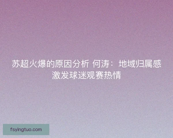 苏超火爆的原因分析 何涛：地域归属感激发球迷观赛热情