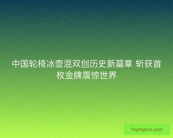 中国轮椅冰壶混双创历史新篇章 斩获首枚金牌震惊世界